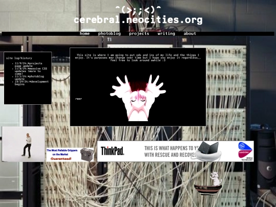 homepage screenshot