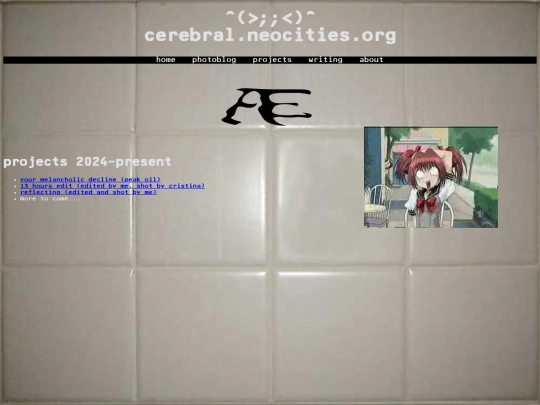 projects screenshot