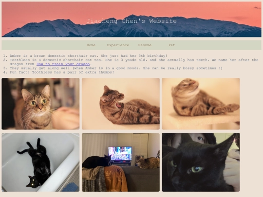 pet screenshot