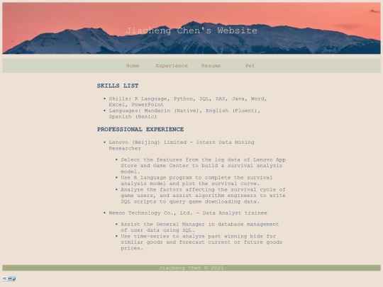 resume screenshot