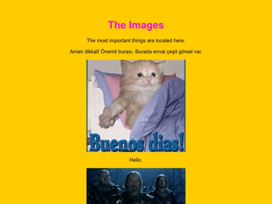images screenshot