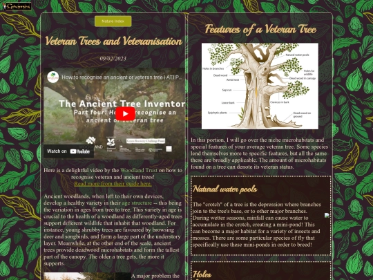 nature/flora/veteranisation screenshot