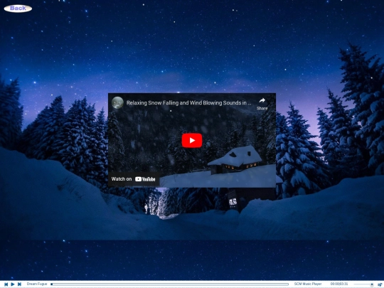 weather/snowynight screenshot