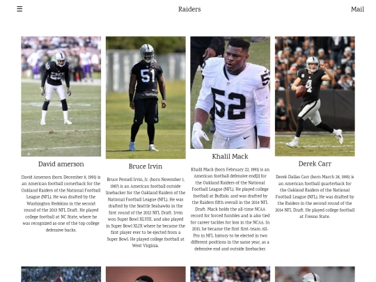 raiders screenshot
