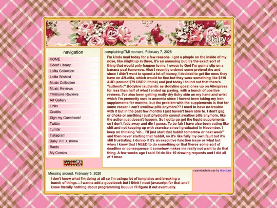 diary screenshot