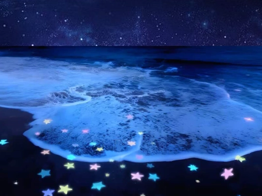Sea screenshot