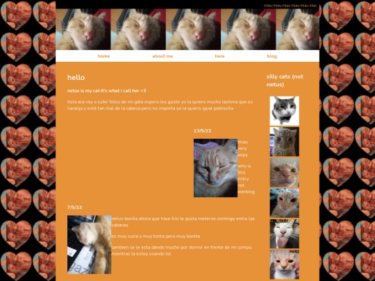 netuuuus/netus screenshot