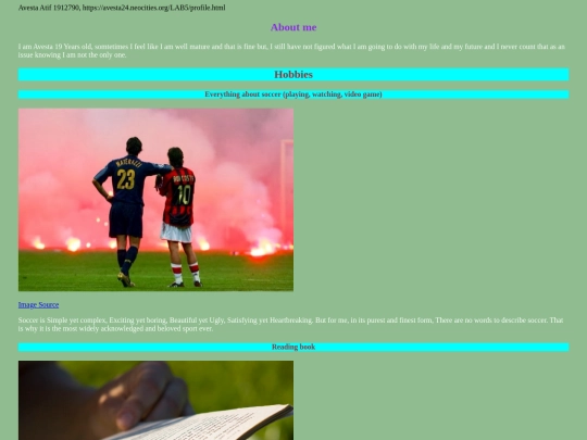 LAB5/profile screenshot