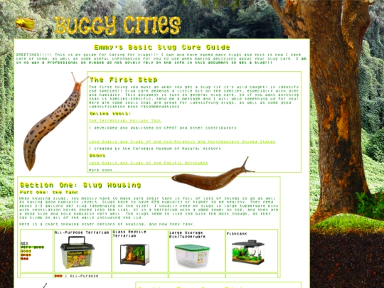 nav/bug/slug screenshot