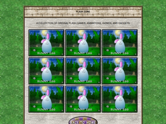 flash screenshot