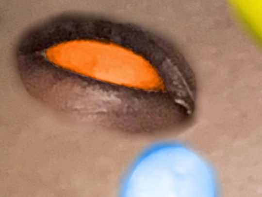 ColdCaseCoffee screenshot