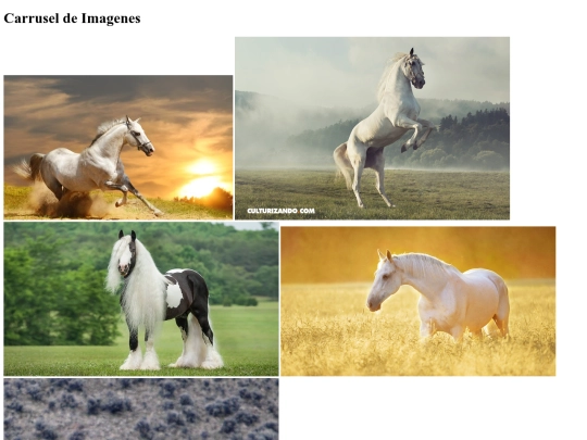 carrusel_imagenes screenshot