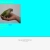 The web site of dakatotheconure avatar