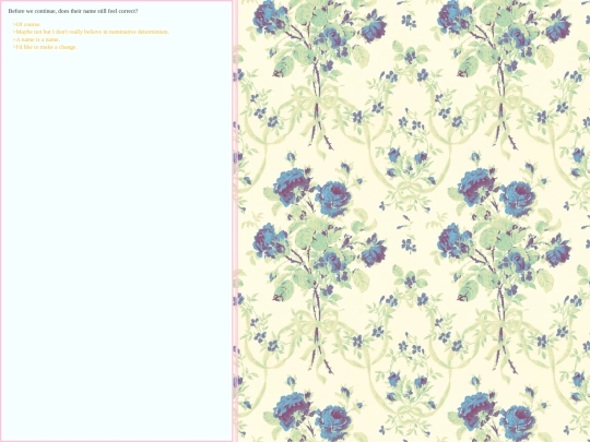 games/littlegame1/fileselect/name2 screenshot