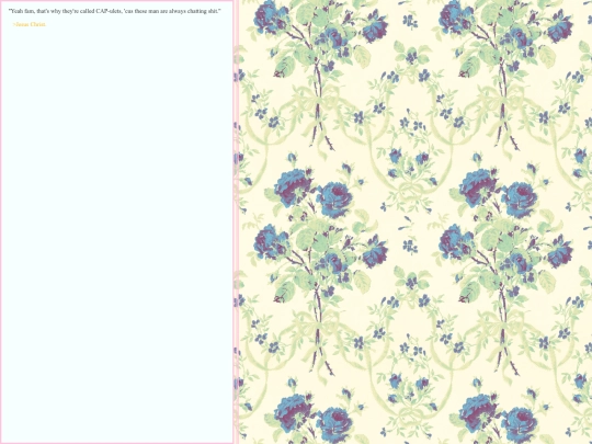games/littlegame1/thefen/thefen7 screenshot
