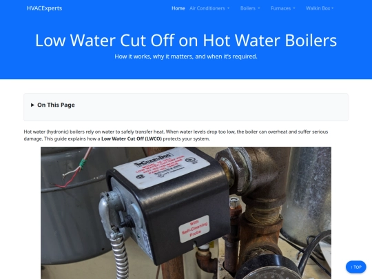 low-water-cut-off-boiler screenshot