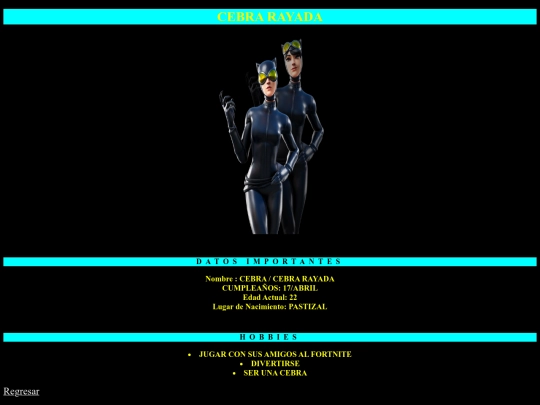 cebra screenshot
