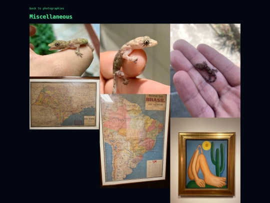 photography/albums/misc screenshot