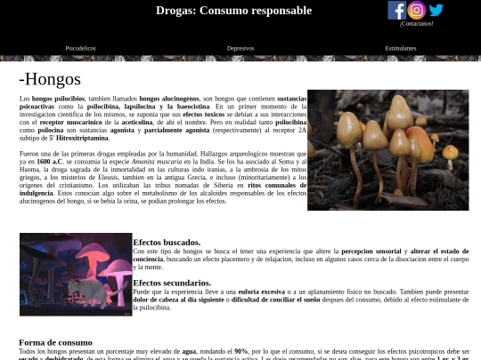 hongos screenshot