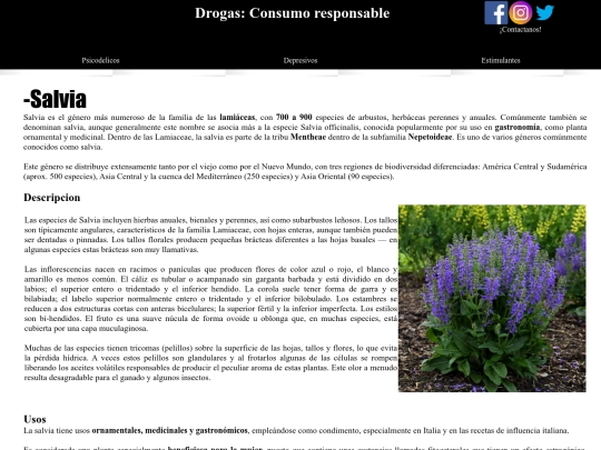 salvia screenshot