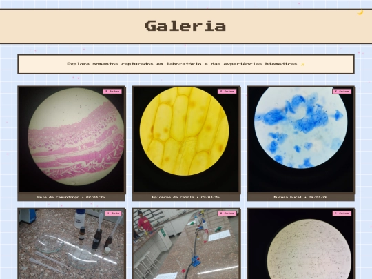 Galeria screenshot