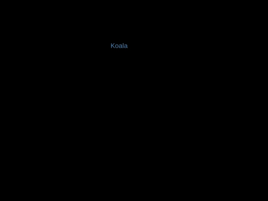 KoalasToTheMax/404 screenshot