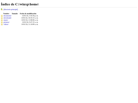 win95/home screenshot