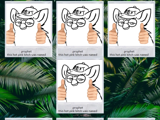 test screenshot