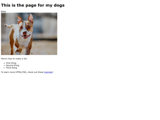 dogs screenshot