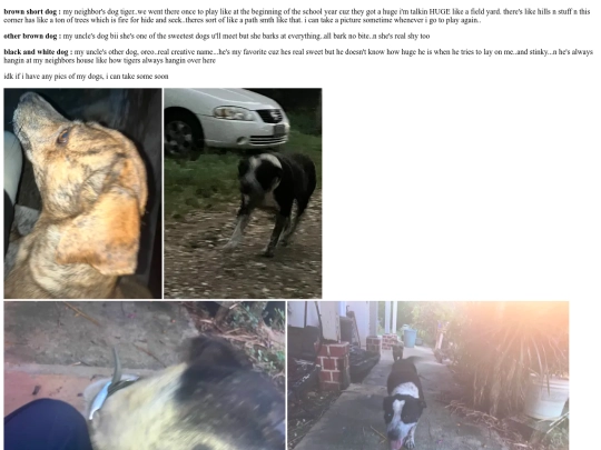 pictures/animals.html/dogs screenshot