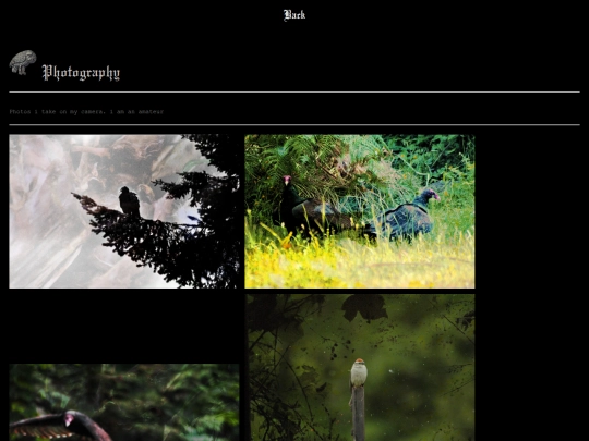 wildlife screenshot