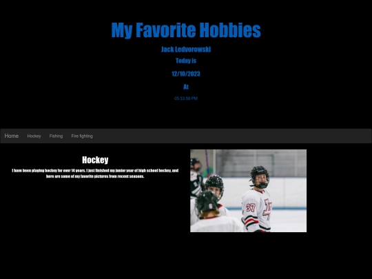 Final_pjc/Hockey screenshot