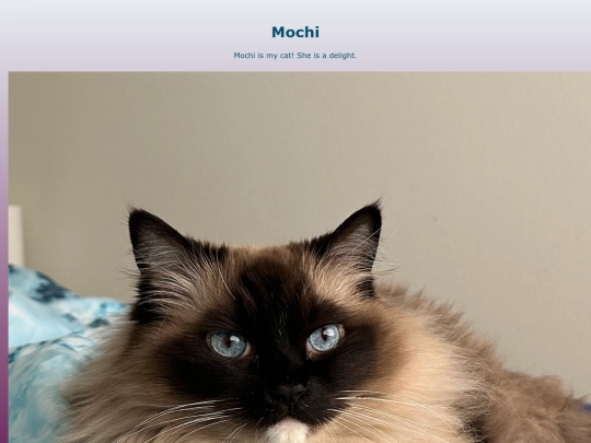 mochi screenshot