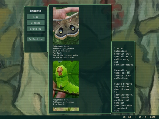 insects screenshot