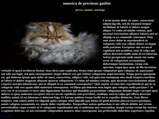 examen/gato1 screenshot