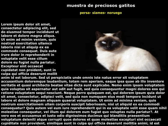 examen/gato3 screenshot
