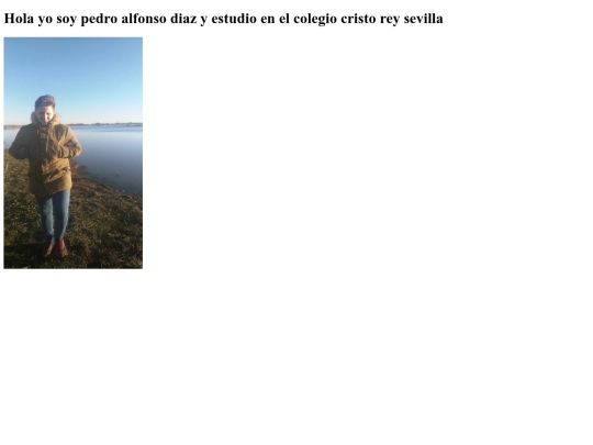 nuevo1 screenshot