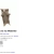 The web site of cattebox avatar