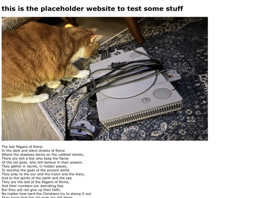 Placeholder screenshot