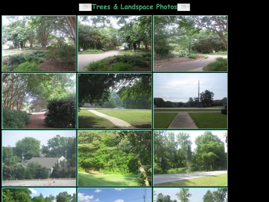 tree screenshot
