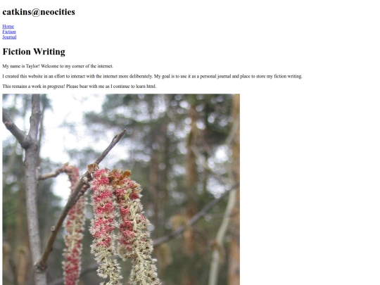 fiction screenshot