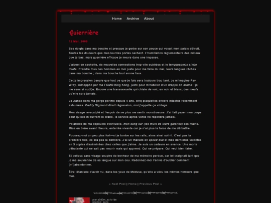 posts/2009-03-12-Guerriere screenshot