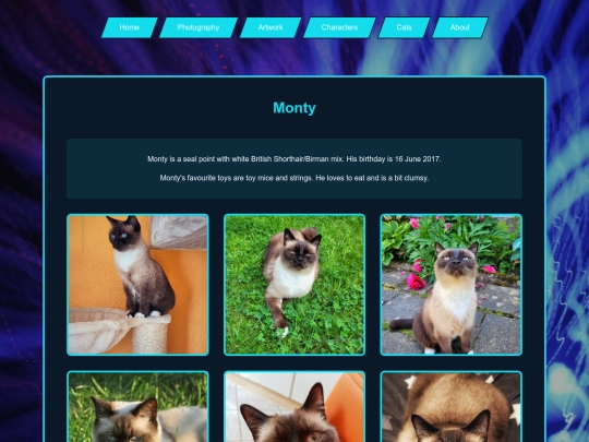 cats-monty screenshot
