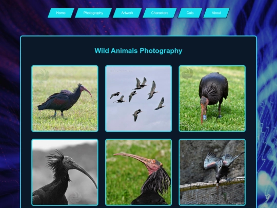 photo-wild screenshot