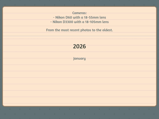 portfolio screenshot