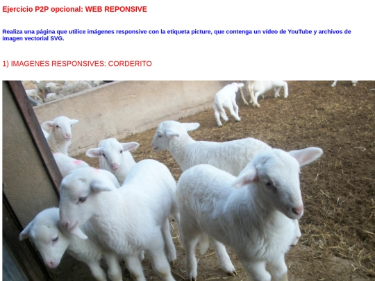 03_Ejercicio_p2p_opcional screenshot