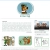 El Oso Yogi avatar