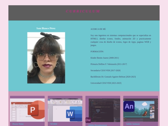 curriculum/plantilla screenshot