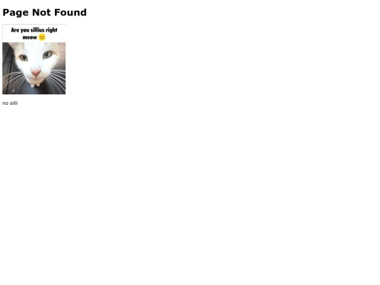 not_found screenshot