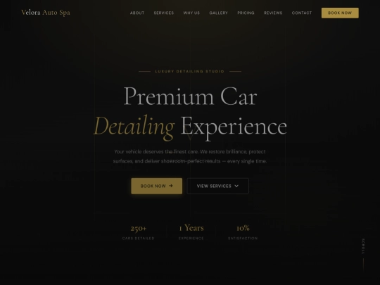 Car spa  screenshot